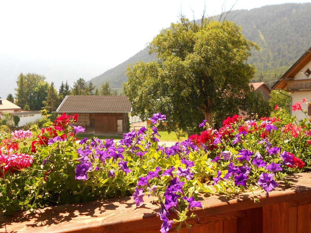 Haus Schweigl Bed and Breakfast Obsteig Εξωτερικό φωτογραφία
